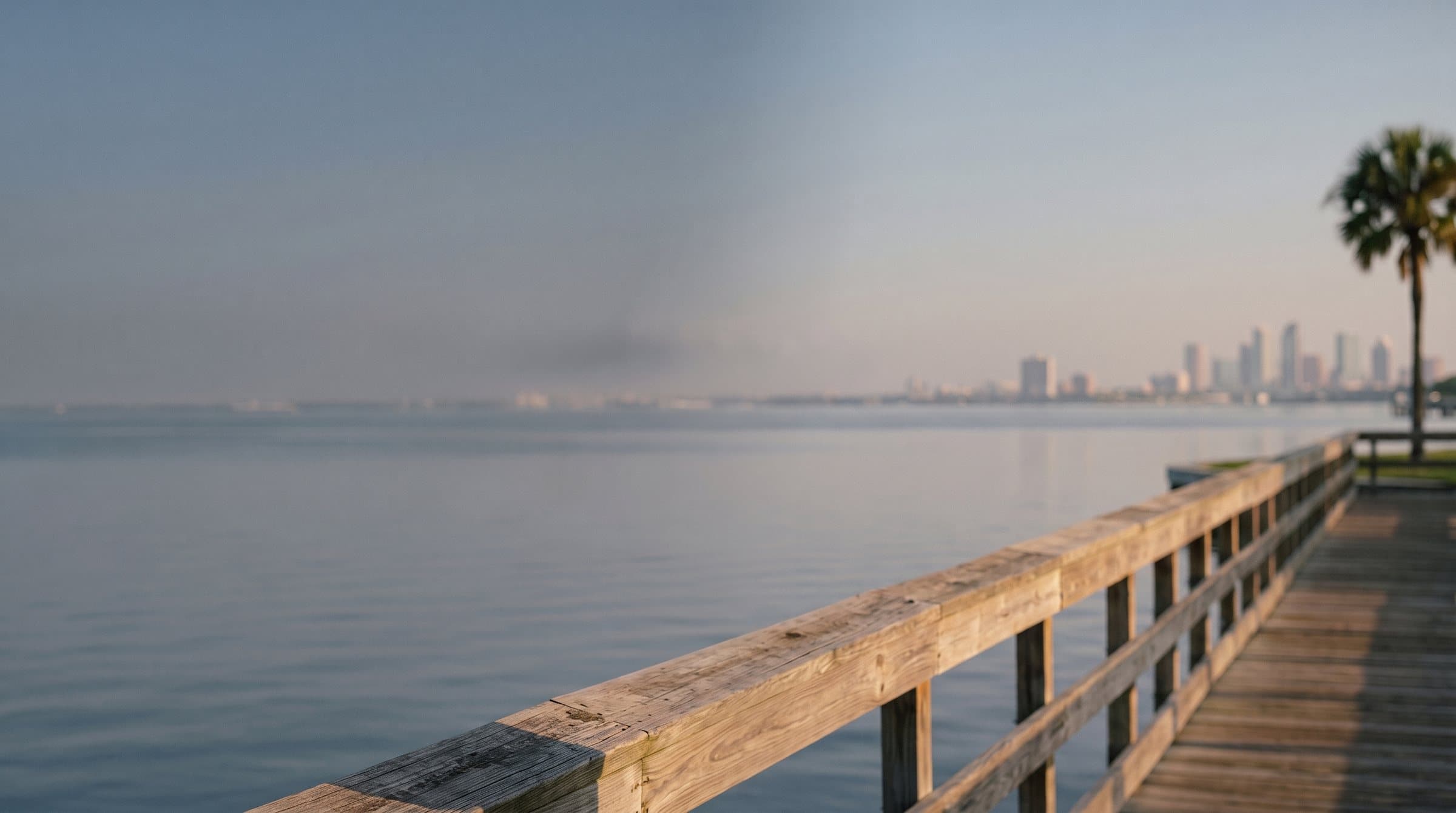 A waterfront boardwalk on Tampa Bay in the early morning