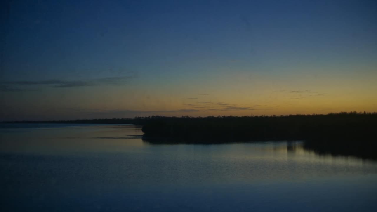 Mangroves and still water at first light in Florida