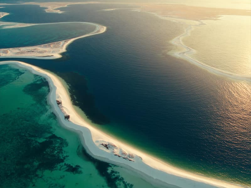 The Florida Gulf coast seen from the air